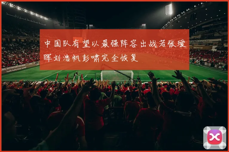 中国队有望以最强阵容出战若张瑷晖刘浩帆彭啸完全恢复
